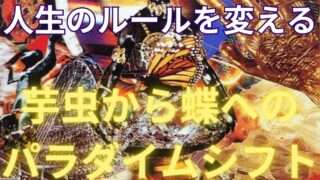 芋虫から蝶への進化に必要なのは努力ではなく…